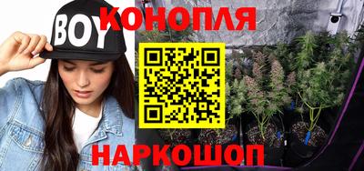 прущие грибы Кизляр
